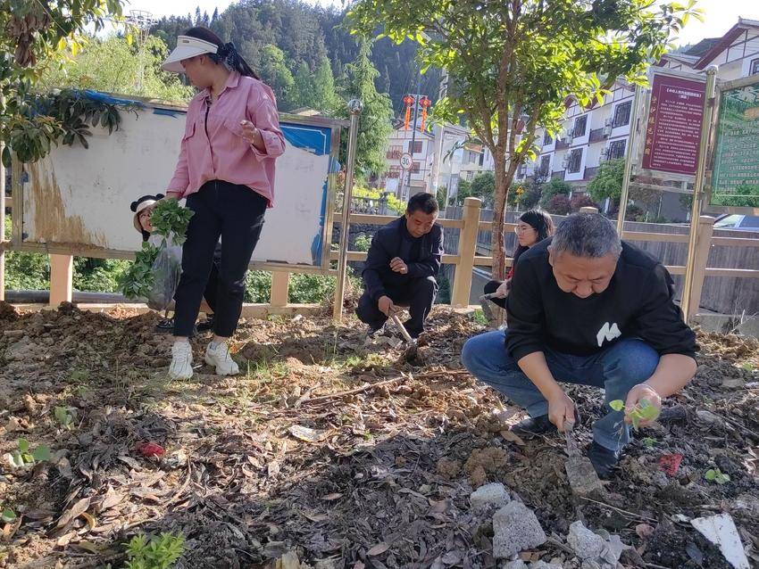 伟德国际1946源于英国驻村工作队挥锹夯土培植花苗